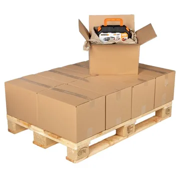 Fiksna cijena Palete u Brussel BE